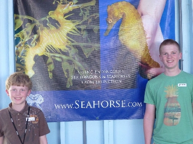 boys-seahorse-poster